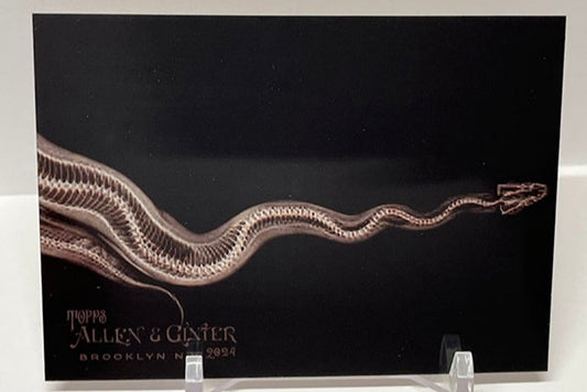 2024 Topps Allen & Ginter Oregon Zoo Ball Python #XR-5