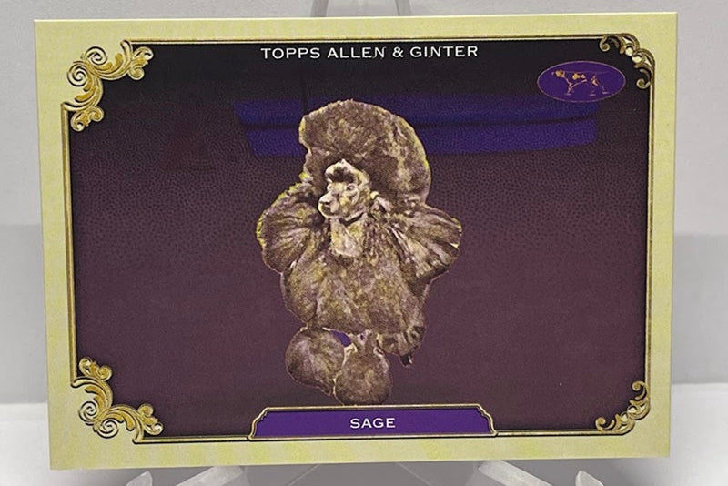 2024 Topps Allen & Ginter Stars of the Show Sage SOS-35