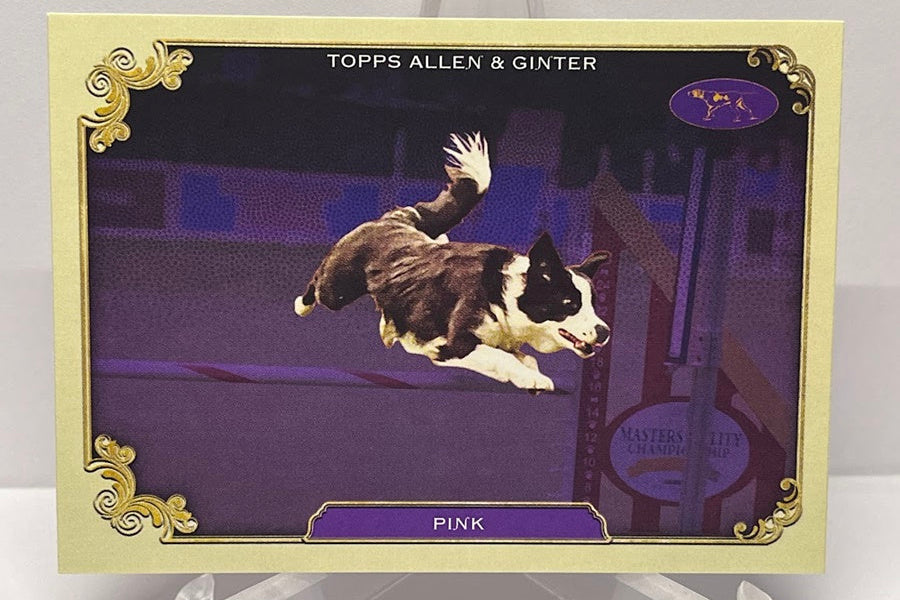 2024 Topps Allen & Ginter Stars of the Show Pink SOS-2