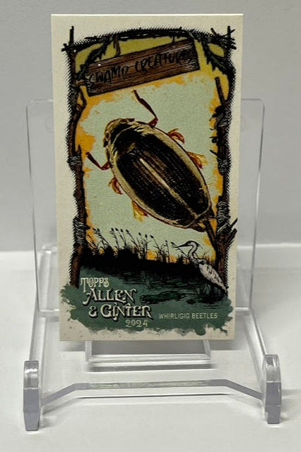 2024 Topps Allen & Ginter Swamp Creatures Whirligig Beetles #29