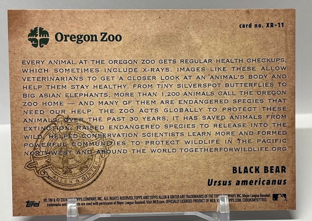 2024 Topps Allen & Ginter Oregon Zoo Black Bear #XR-11