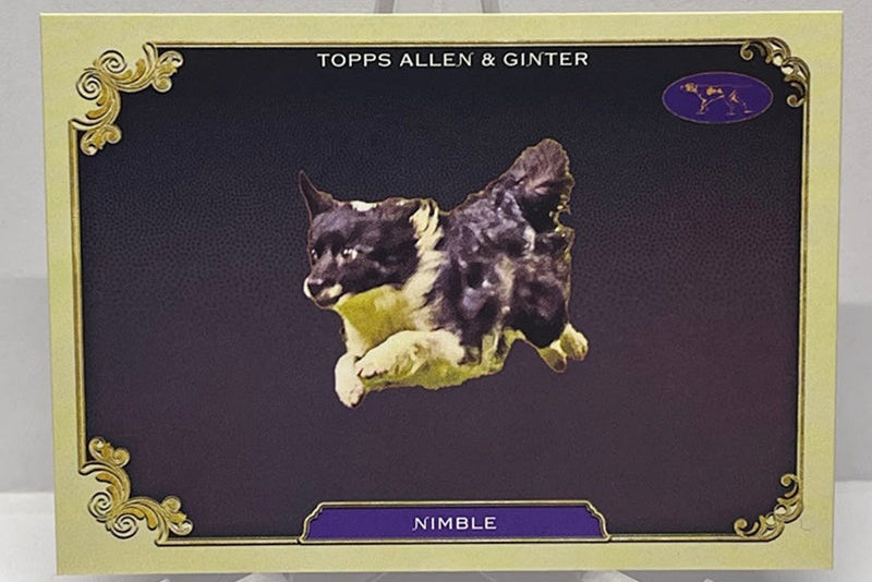 2024 Topps Allen & Ginter Stars of the Show Nimble SOS-34