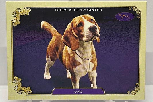 2024 Topps Allen & Ginter Stars of the Show Uno SOS-20