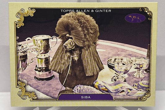 2024 Topps Allen & Ginter Stars of the Show Siba SOS-13