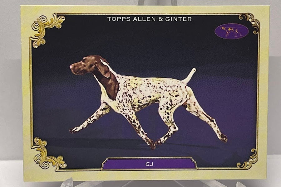 2024 Topps Allen & Ginter Stars of the Show CJ SOS-17
