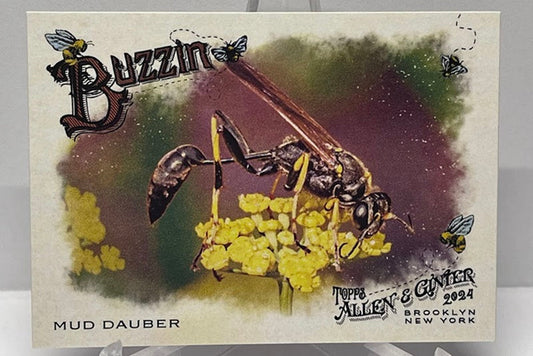 2024 Topps Allen & Ginter Buzzin Mud Dauber BUZ-1