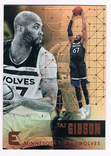 2017-18 Panini Essentials Taj Gibson Timberwolves #94